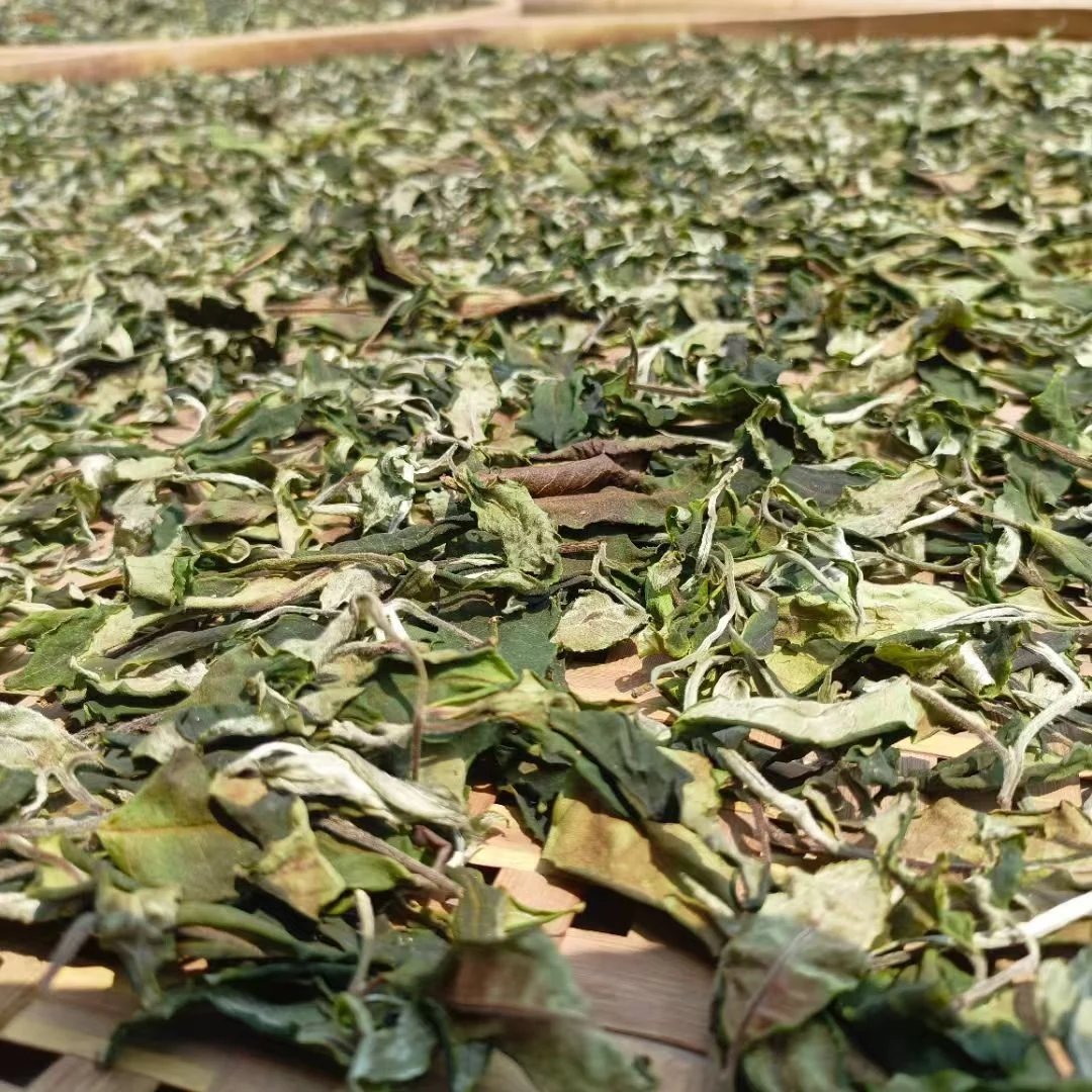 Nannuo Mountain Pu-erh White Tea – product detail 2 – Lanyue Tea