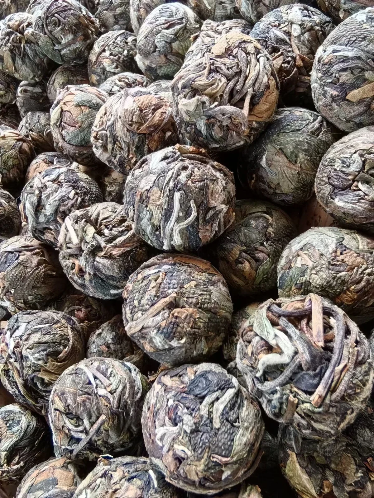 Nannuo Mountain Pu-erh White Tea – product detail 3 – Lanyue Tea